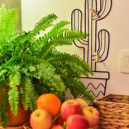 Pensionat Viatorem Zadar